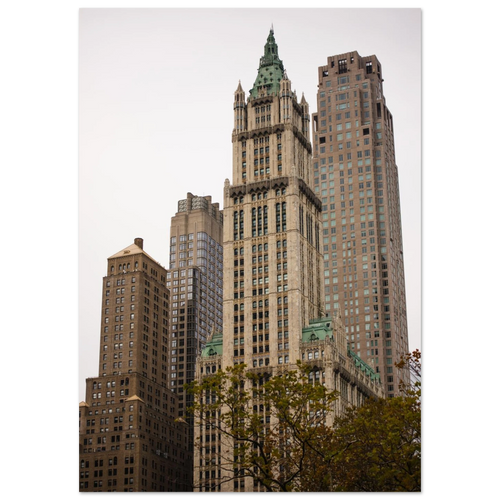 82951bdf-7c62-4f21-9909-5f55fea18215